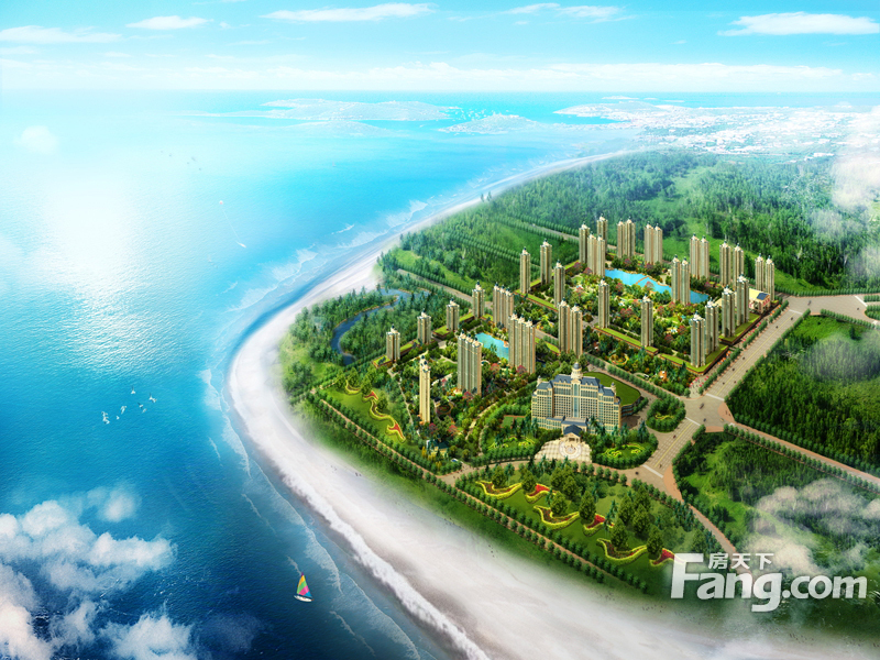 北海候鸟最多的地方,广西北海候鸟过冬最近新视频