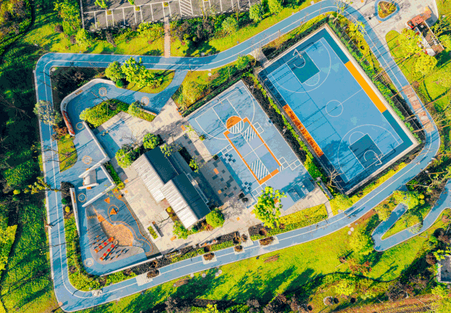 重庆体育发展,分析体育发展趋势