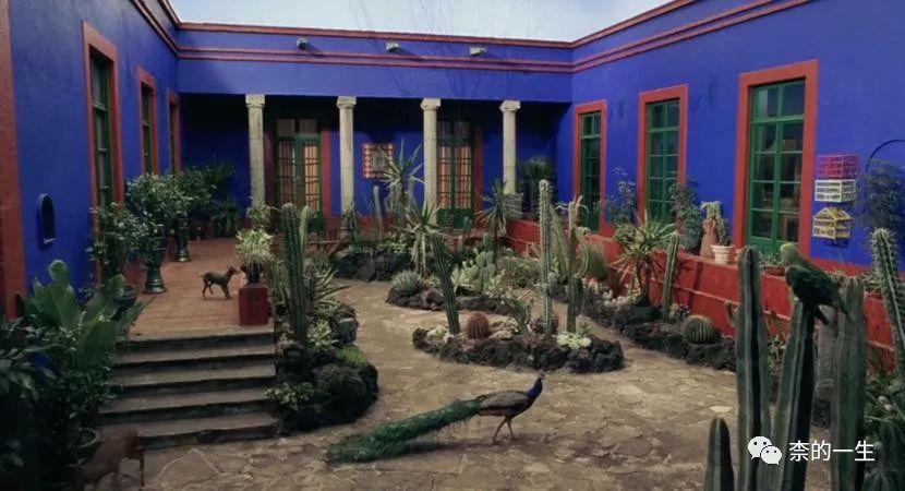 将艺术委以生命，还是将生命委以艺术——弗里达·卡罗