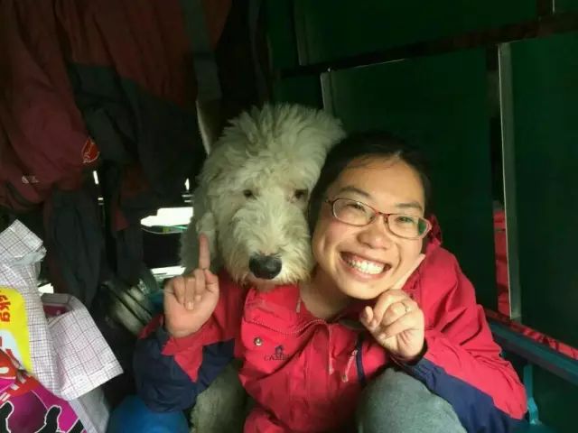 被丁一舟赖敏的爱情感动流泪,丁一舟赖敏结婚照片