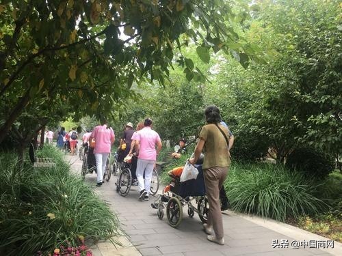 频繁更换保姆的危害,居家养老如何和保姆合作