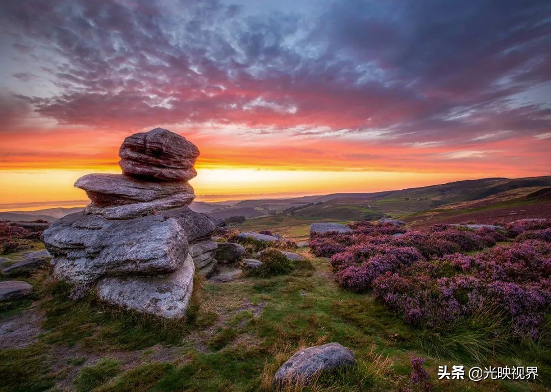 野花的风景,2020国际风景摄影大赛获奖作品