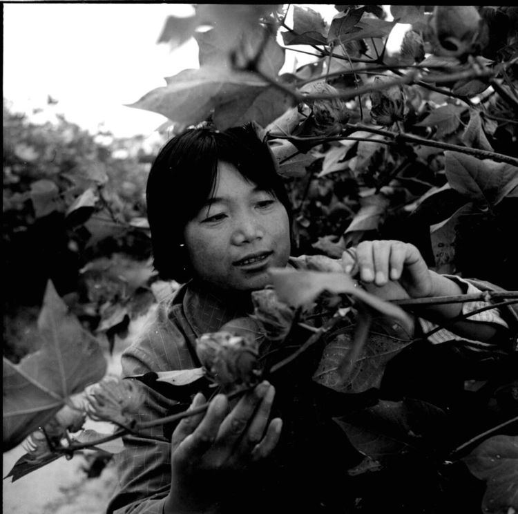 三八妇女节巾帼英雄人物,三八妇女节致敬各条战线巾帼英雄