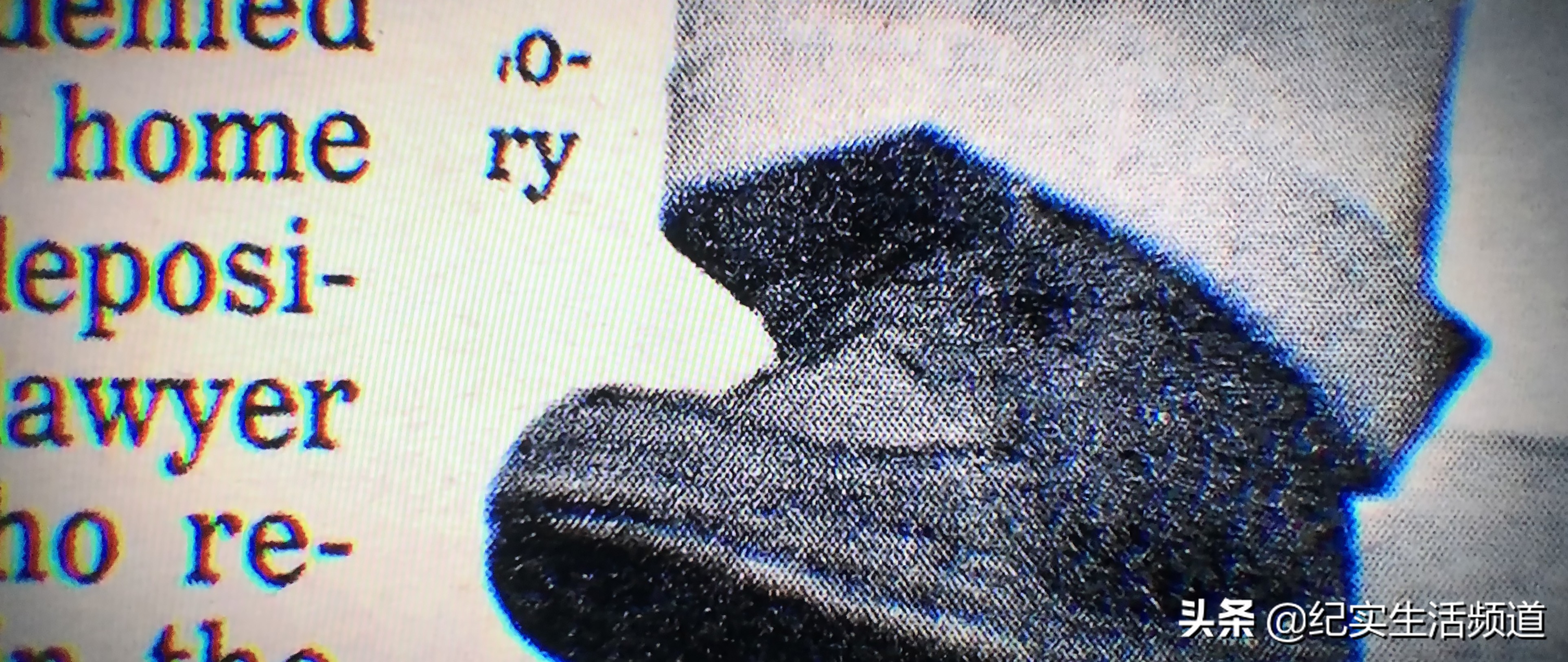 美国最大八卦小报的惊爆秘辛（三）