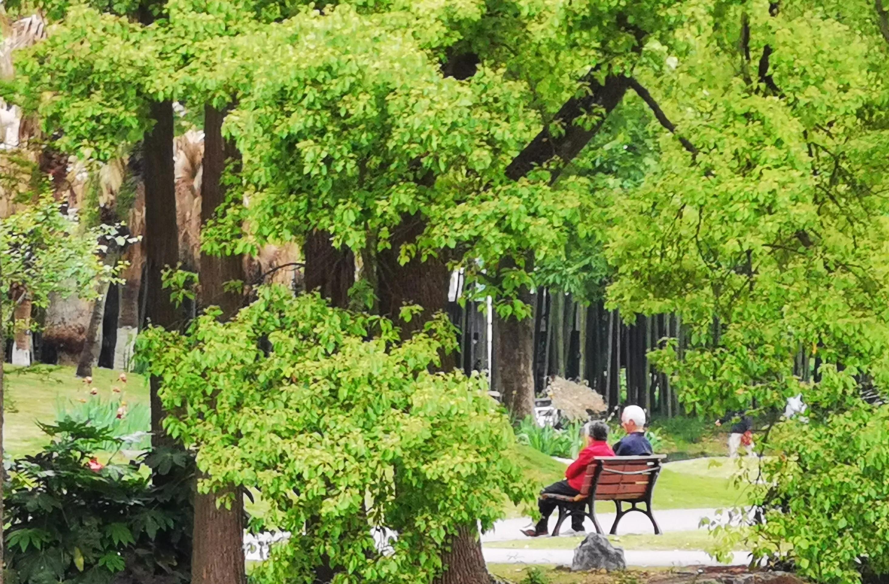 手拍世界作品集402期,2022年世界手机摄影大赛征稿