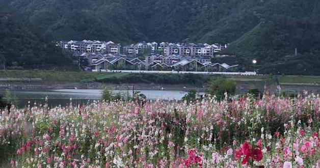 从巨亏5万到年入过亿,从年入千亿到现在负债百亿