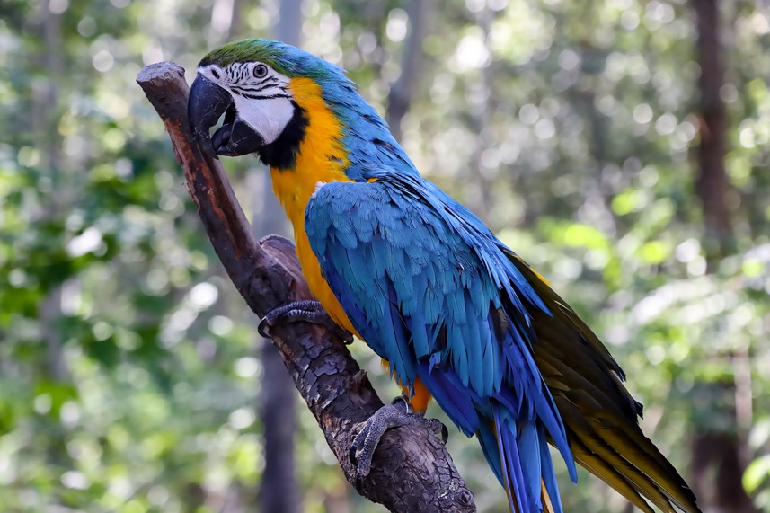 3250万像素仅售7649元，佳能新出的90D单反究竟有多香？