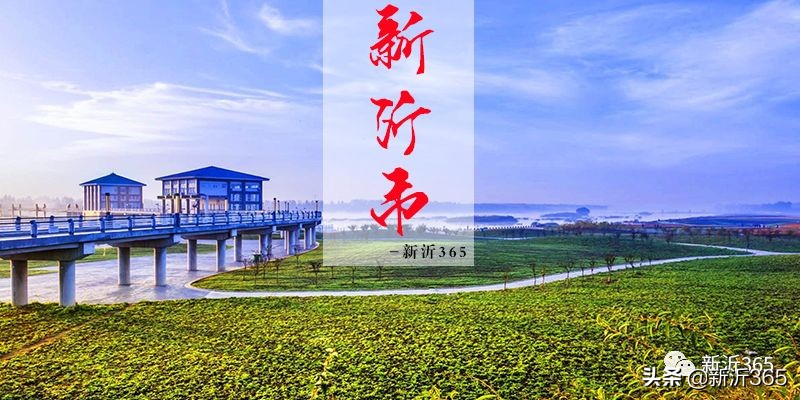 让中国看见新沂，让中国速度在新沂上演...