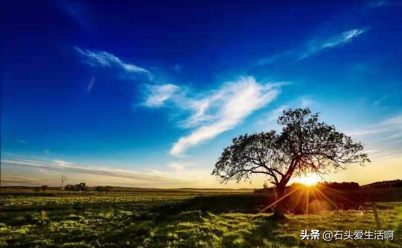 钱是王八蛋没了再去赚谁说的,钱是个王八蛋