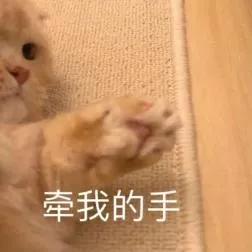 万国觉醒黑楼兰互捶视频,万国觉醒黑楼兰被清零