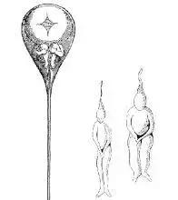 为什么人有大姨妈,人类为什么会有大姨妈