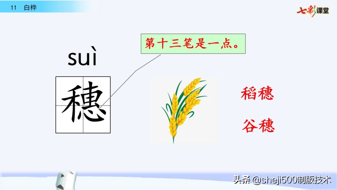 语文教科书四年级下册11课白桦,四年级语文书下册白桦讲解及预习
