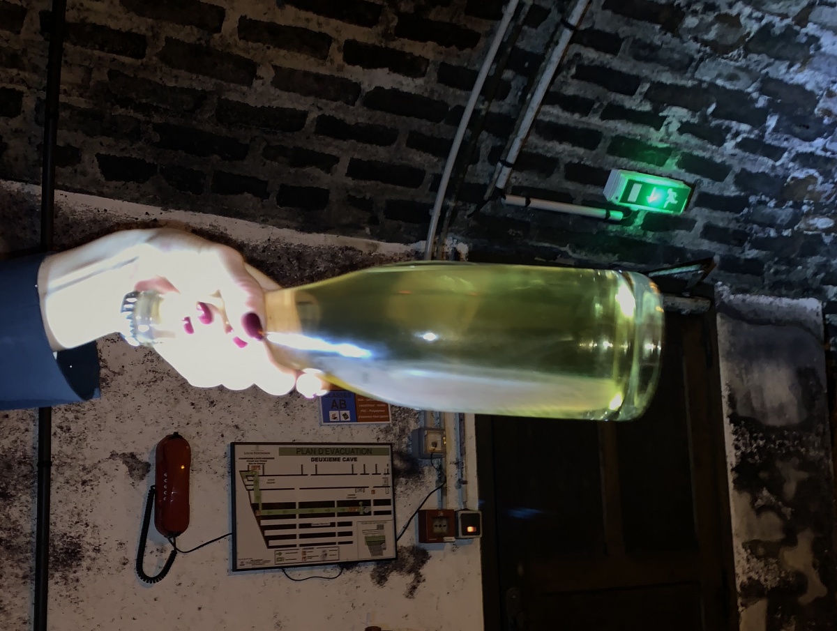 香槟普及知识,关于香槟你需要知道的7个知识