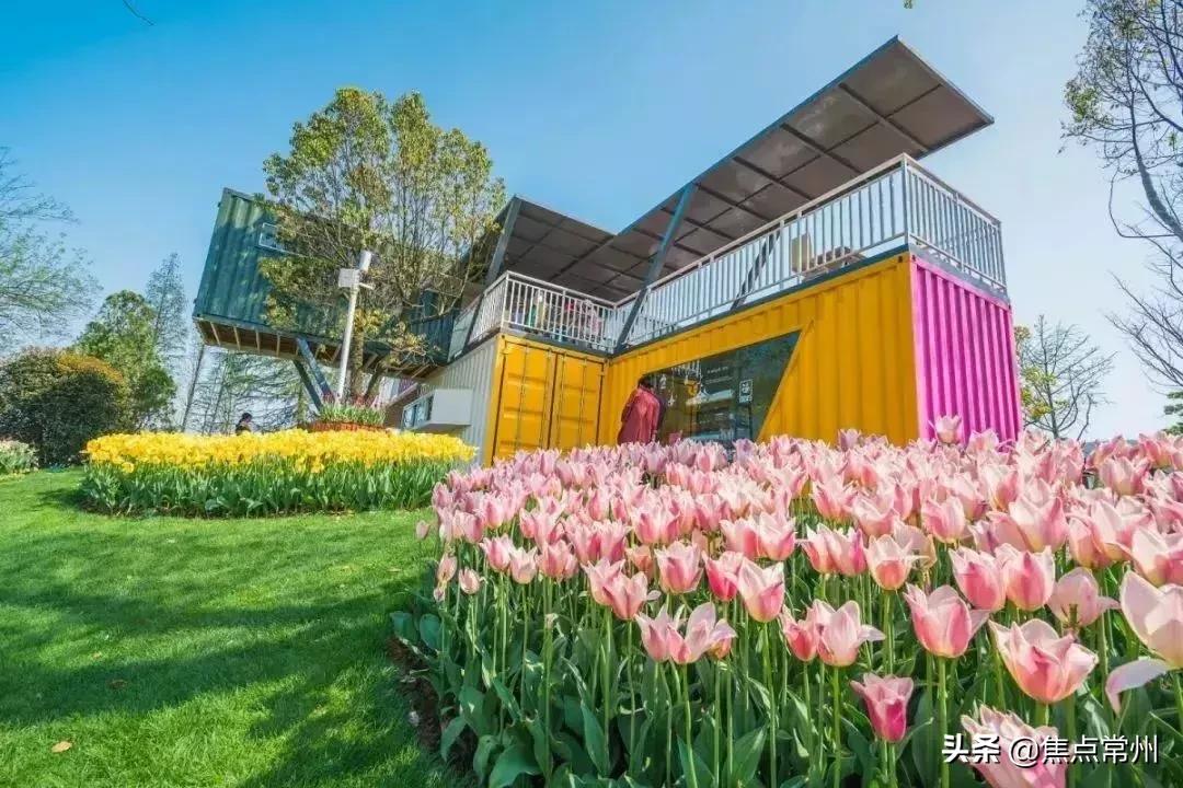 金坛适合一个人安静的地方,金坛的一个小镇