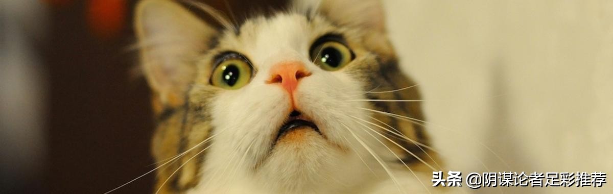 每日竞彩赛程,每日竞彩足球分析英联赛