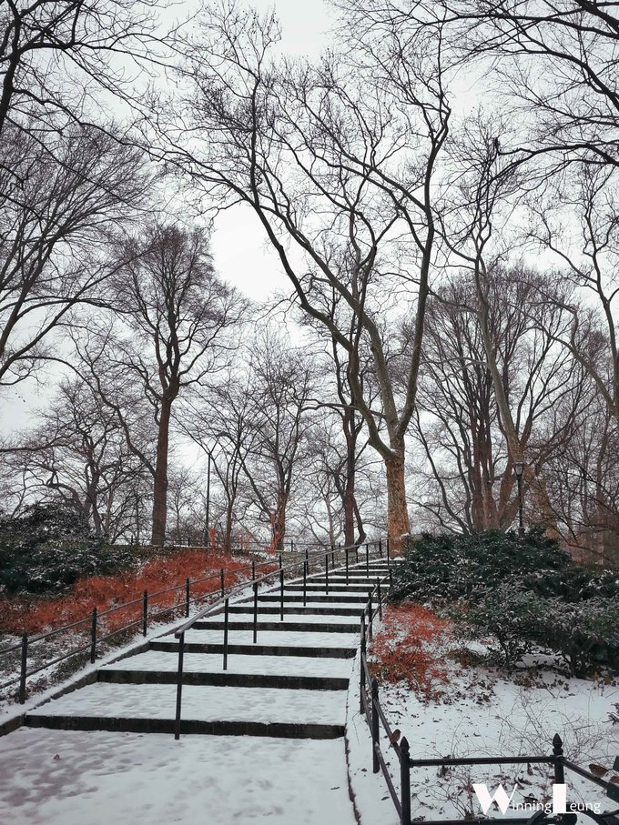 纽约中央公园世界奇迹,纽约中央公园浦东世纪公园