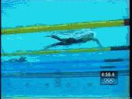 蝶泳和自由泳哪个效率更高,自由泳1000米效率标准表