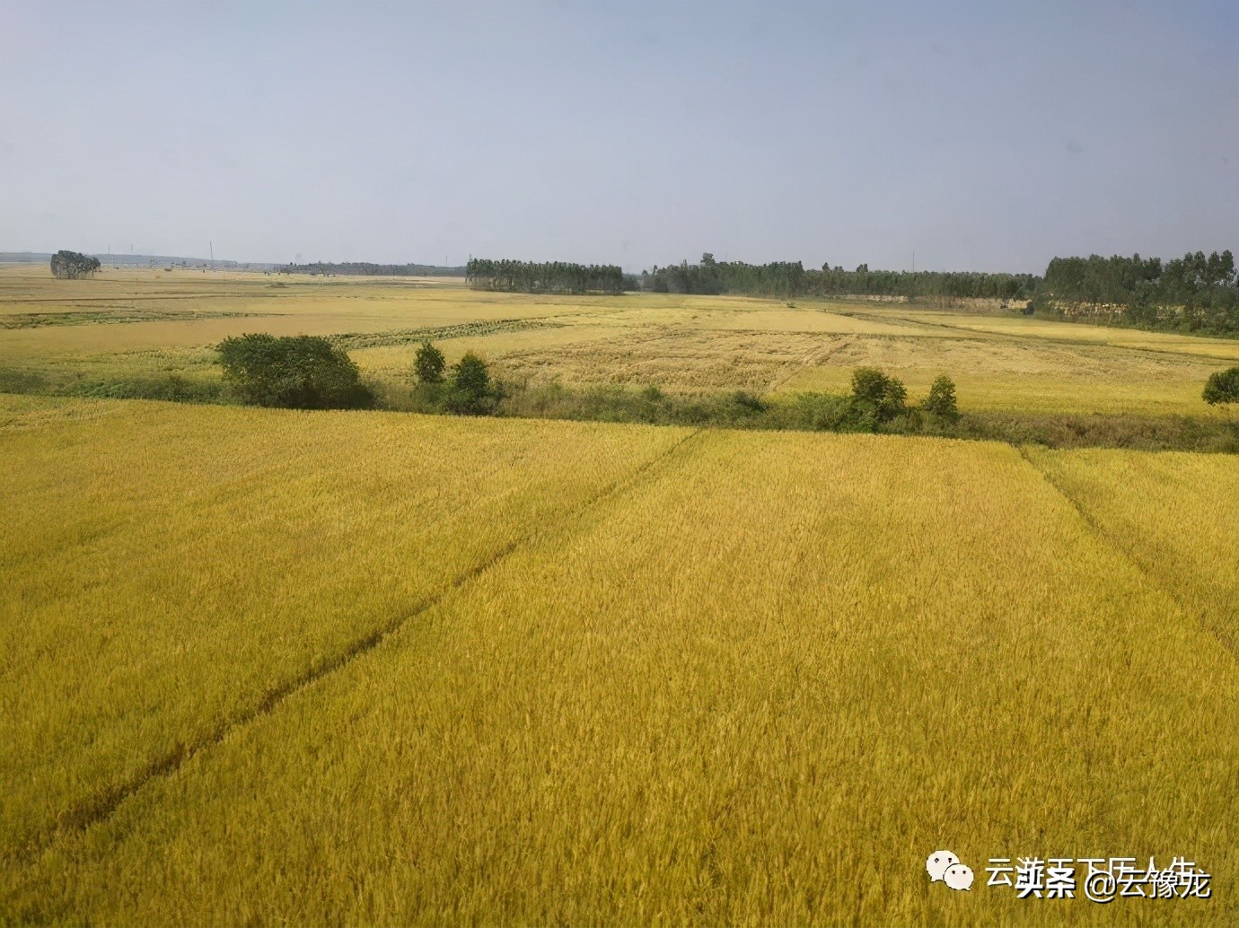从湛江到海口火车,湛江到海口火车过海视频
