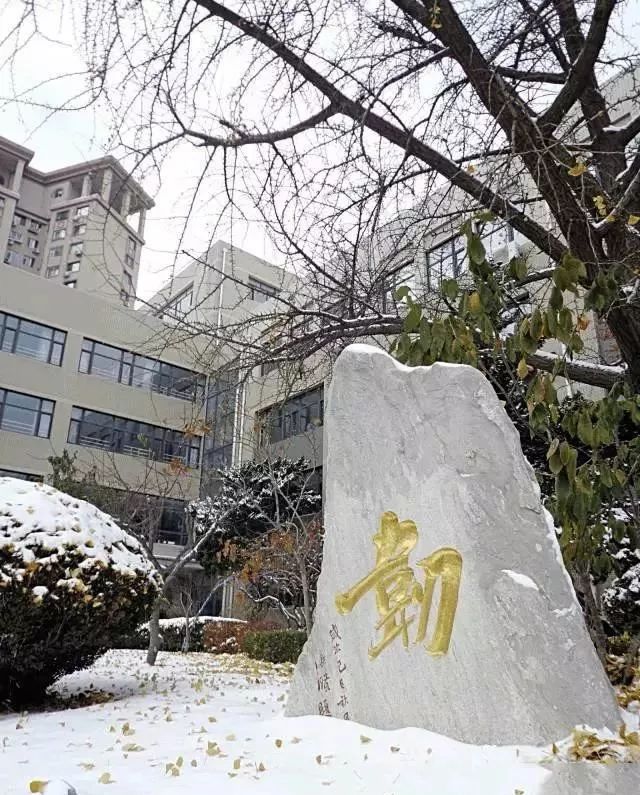 八中高中全景图,2019高考八中