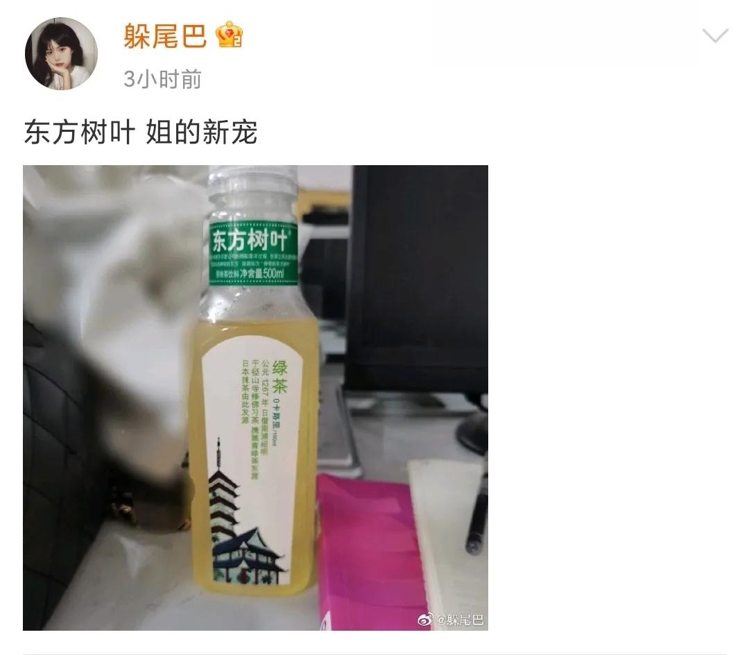 讲道理，东方树叶真的很难喝吗？