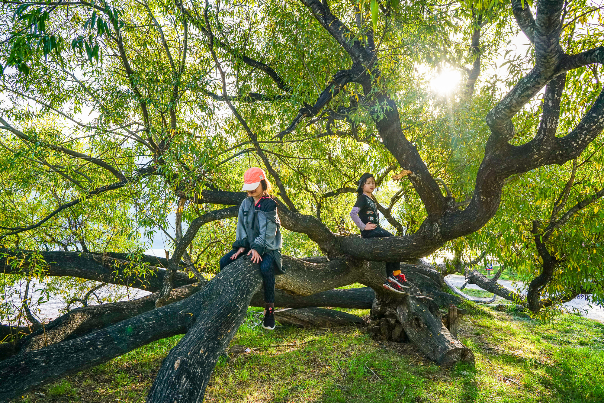 格林诺奇魔戒电影图片,魔戒格林诺奇