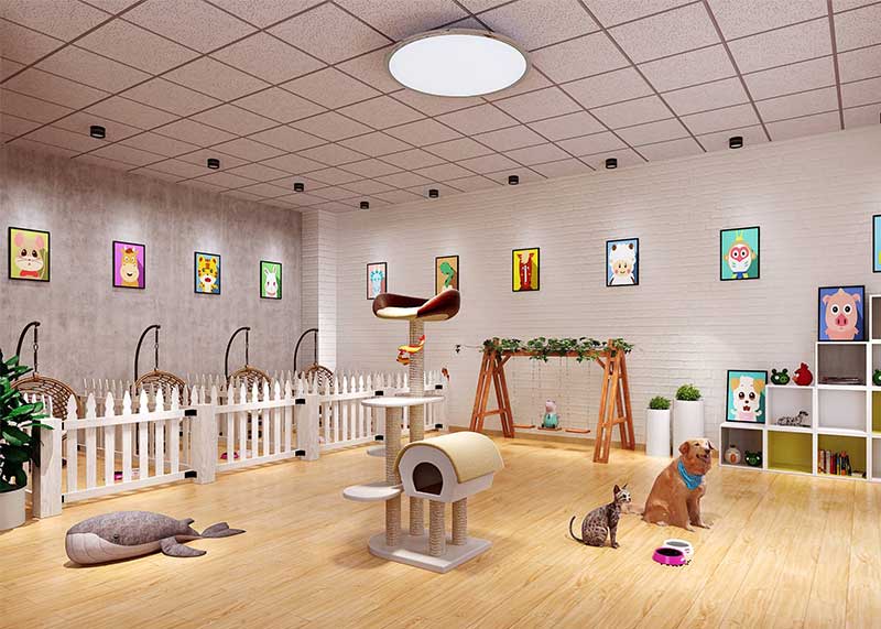 一站式宠物店装修案例欣赏,宠物店最新装修图片大全