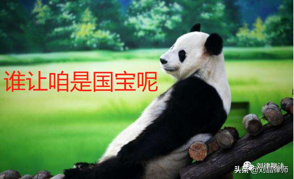 为什么虐待动物不犯法,虐待动物犯法杀动物犯法吗