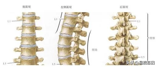 鑵版闂寸洏绐佸嚭鑳芥牴娌讳箞,鑵版闂寸洏绐佸嚭鍘嬭揩绁炵粡