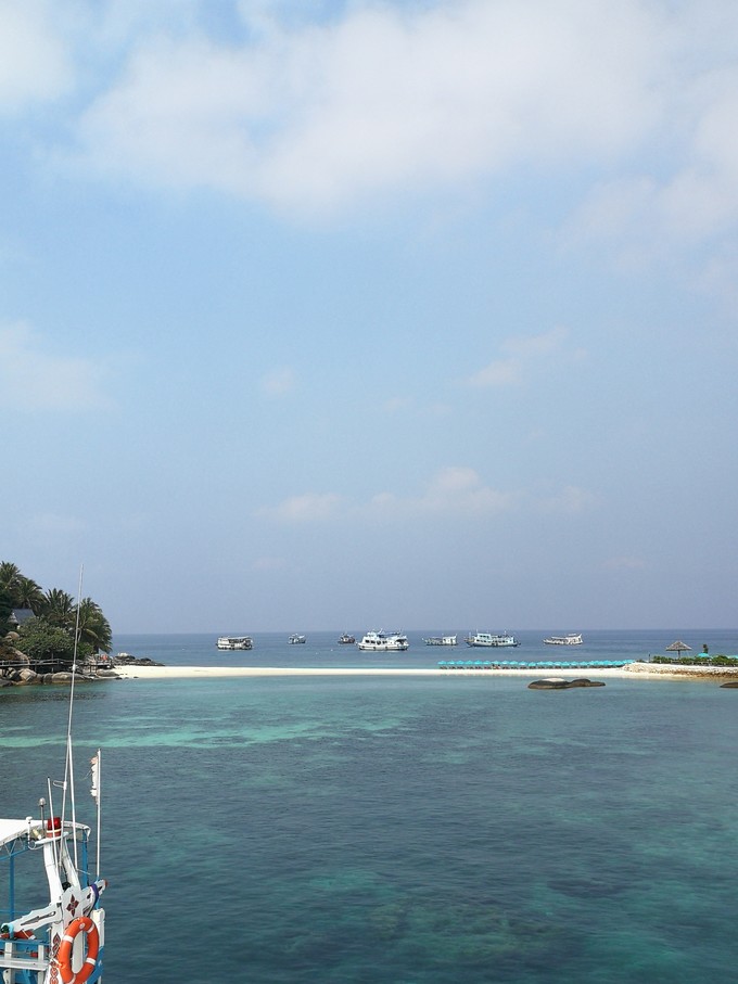 涛岛潜水考证,ow自由潜水证书