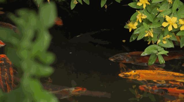 6亩8个卧室，上千万园林，200吨红木，1.6亿江南大户竟是这样的？