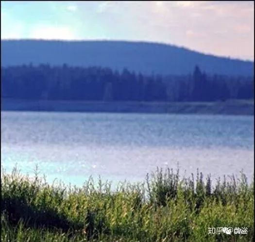 单目视觉定位算法,单目深度估计提出时间