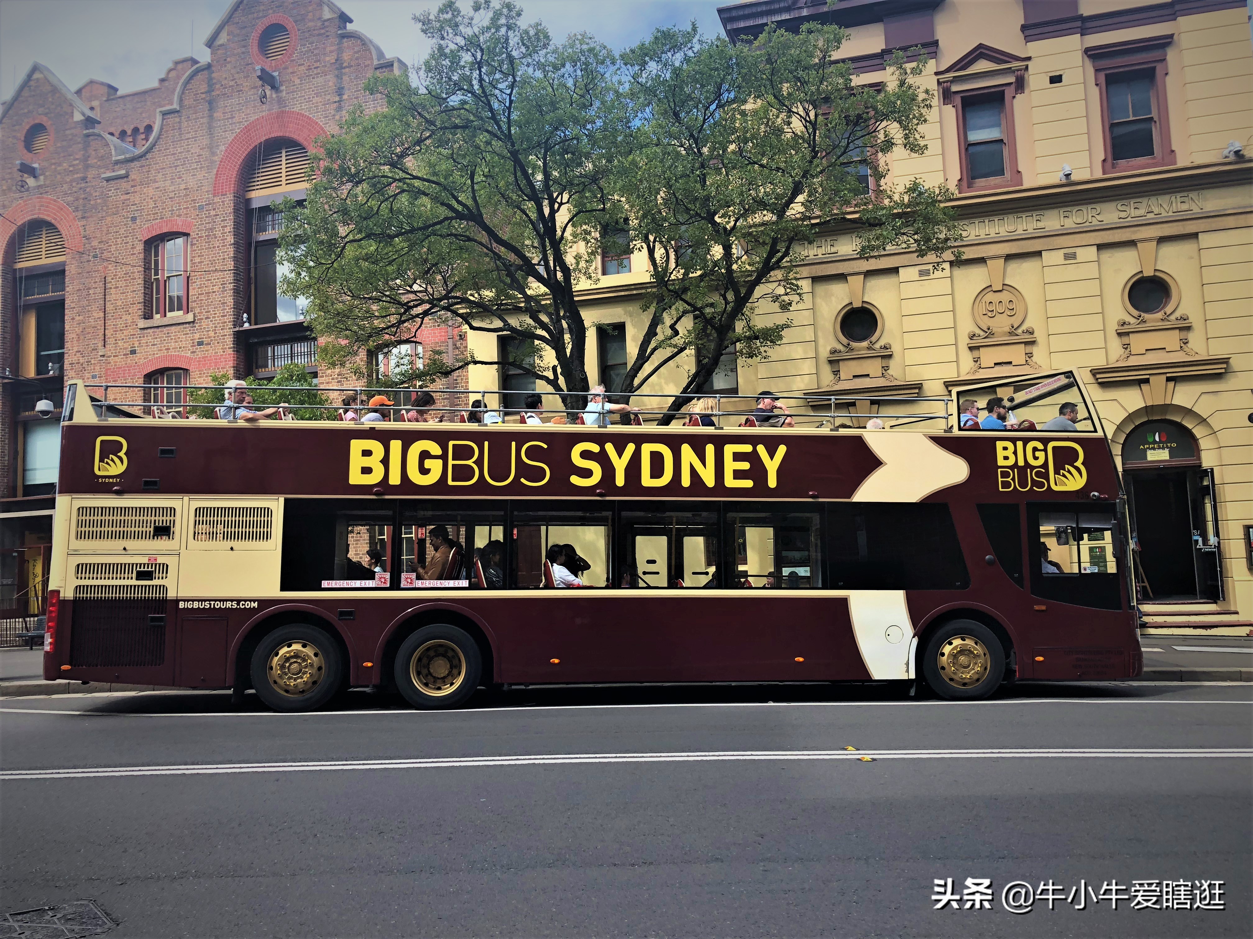 悉尼7日游自由行攻略,澳洲阿德莱德旅游攻略