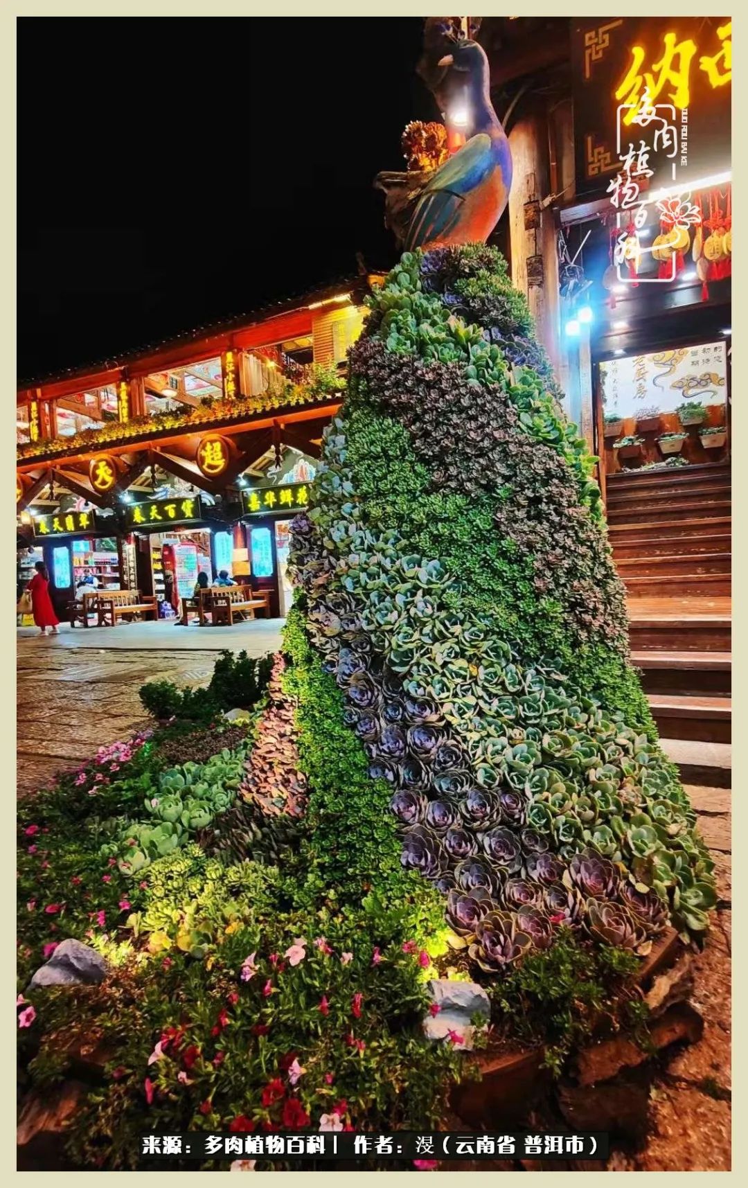 深情不及久伴,厚爱无需多言,择一“爱”,护一生