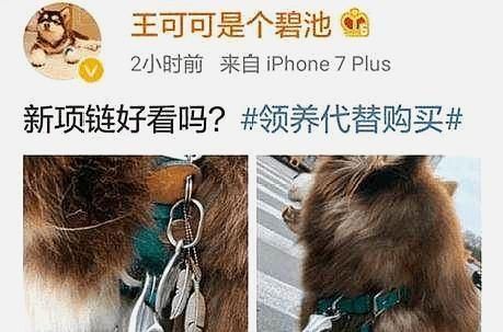 很多明星都在佩戴的银饰，比黄金还要贵几倍