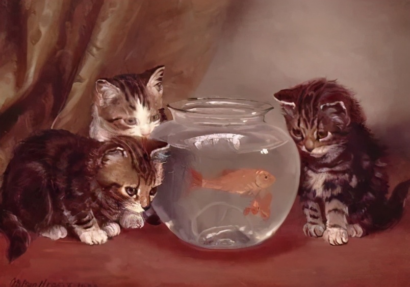 瑗挎柟娌圭敾澶у笀閲戦奔,娌圭敾閲戦奔鐢诲浣滃搧娆ｈ祻