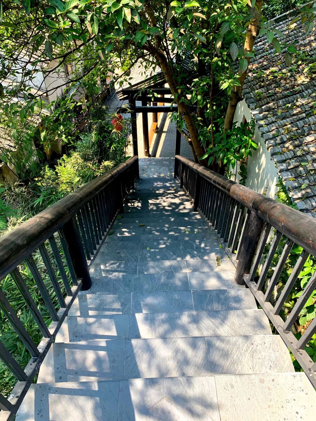 500亿砸出来的深圳古村，客家围屋、炮楼、还能玩穿越