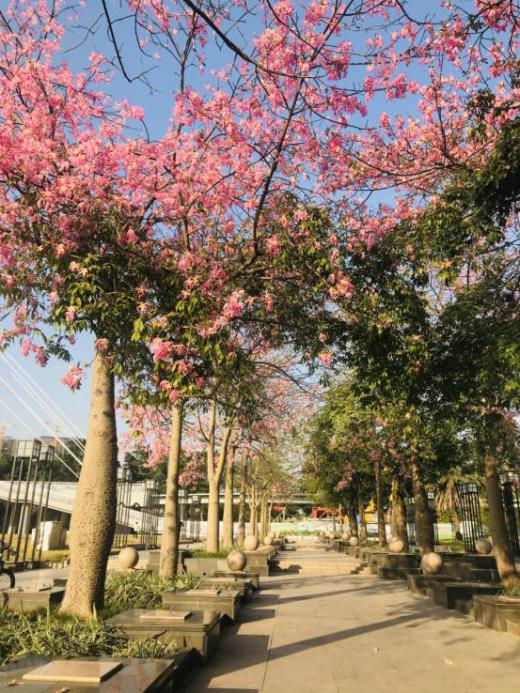 江门新围附近网红打卡点,江门好玩的地方网红打卡