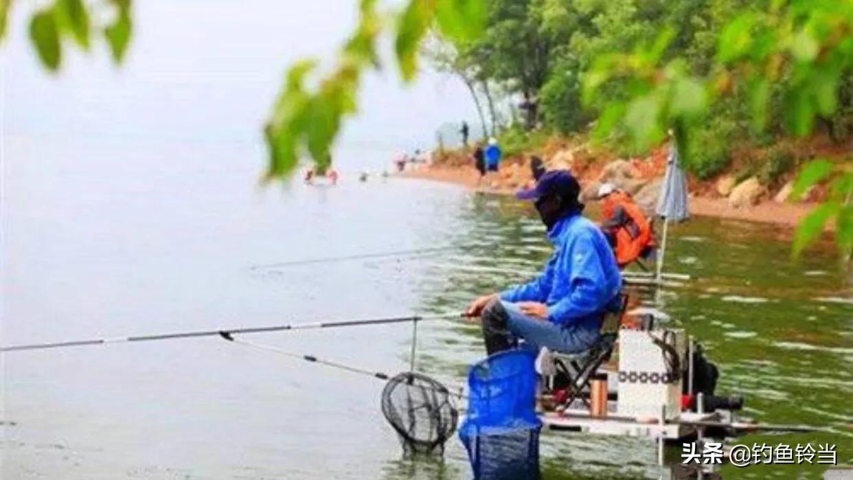 如何野钓海鲈鱼技巧和方法,海鲈鱼垂钓方法和技巧