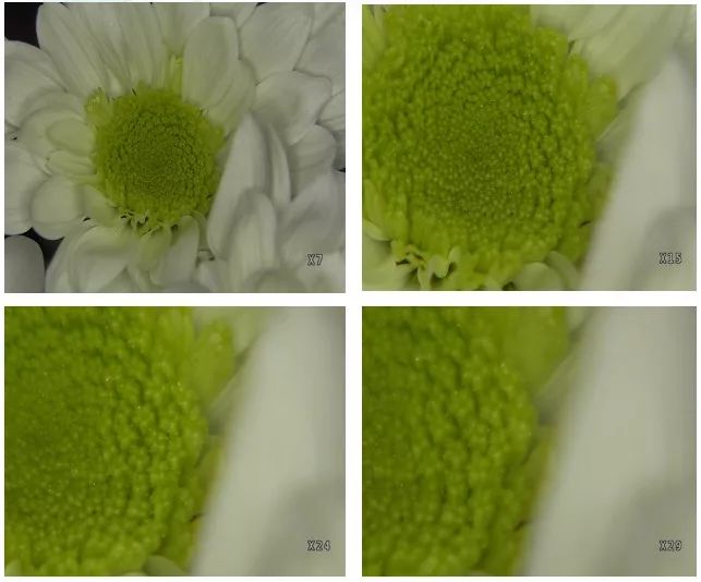 小手拉大手专项整治,小手拉大手预防秋季传染病