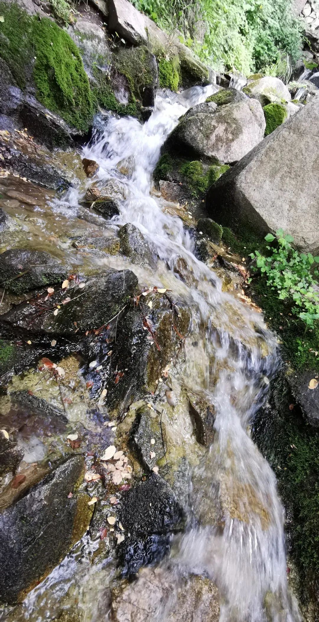 九如山什么季节去最好,秋游九如山旅游攻略