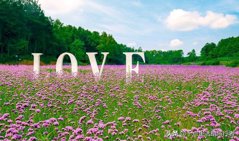 花的世界,鸟的天堂——木兰花乡