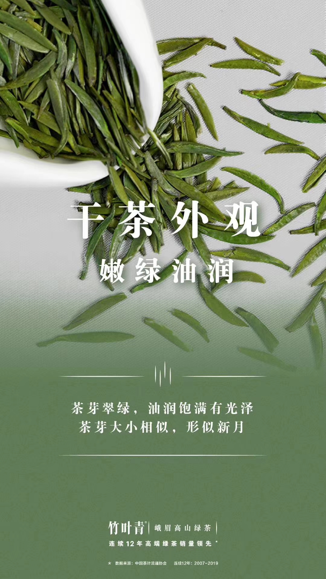 我与竹子故事50字,我和龙井茶的故事大全