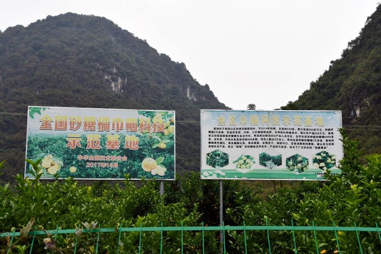 以购代帮助力消费扶贫,以购代捐是消费扶贫吗