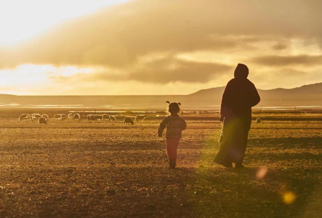 新发现：卵子会对某些人的精细胞更加偏爱，甚至可为其“开后门”