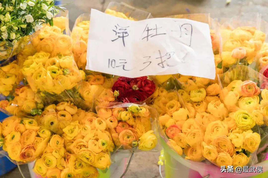 超便宜！成都铁轨下的花市5元买回一个春天！