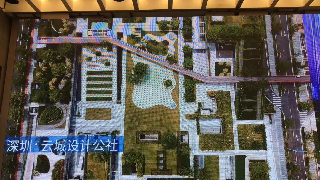 万科集团董事会主席:有人说卖房子不如卖酱油,我是蛮服气的