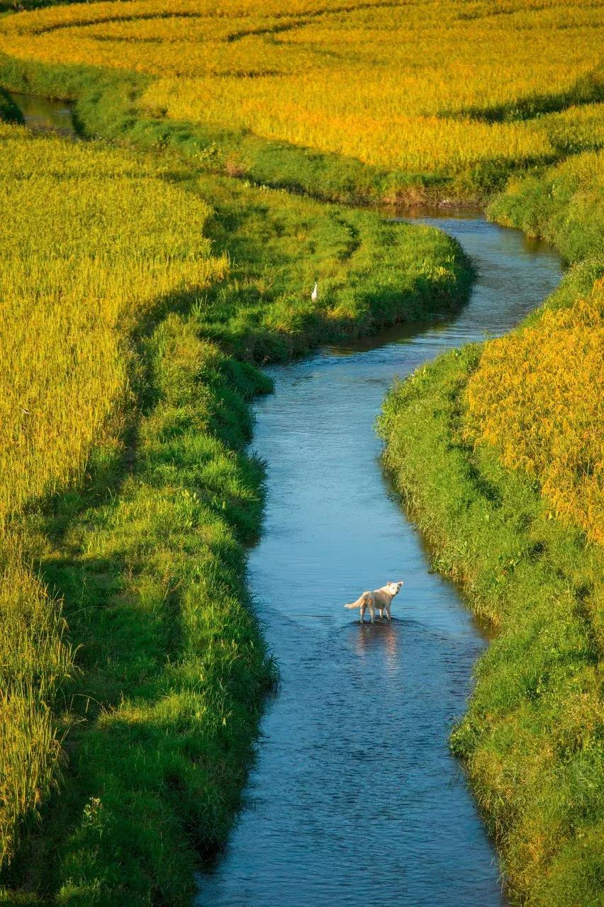 云南中越边境小城,云南新兴网红城市