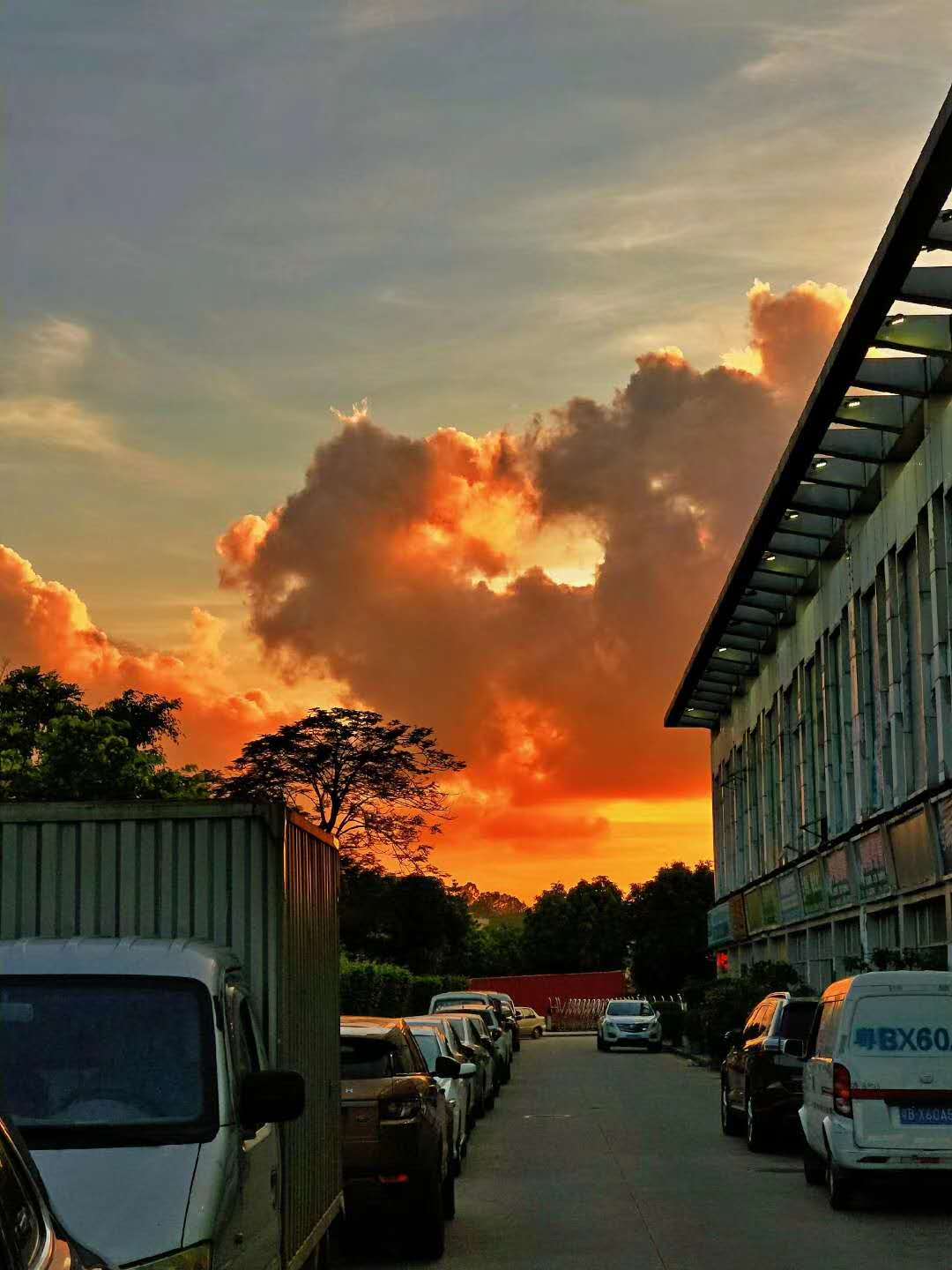 华南城有什么风景,华南城有多漂亮