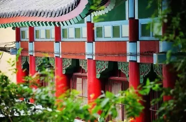 南师大马拉松开幕式,最美南师