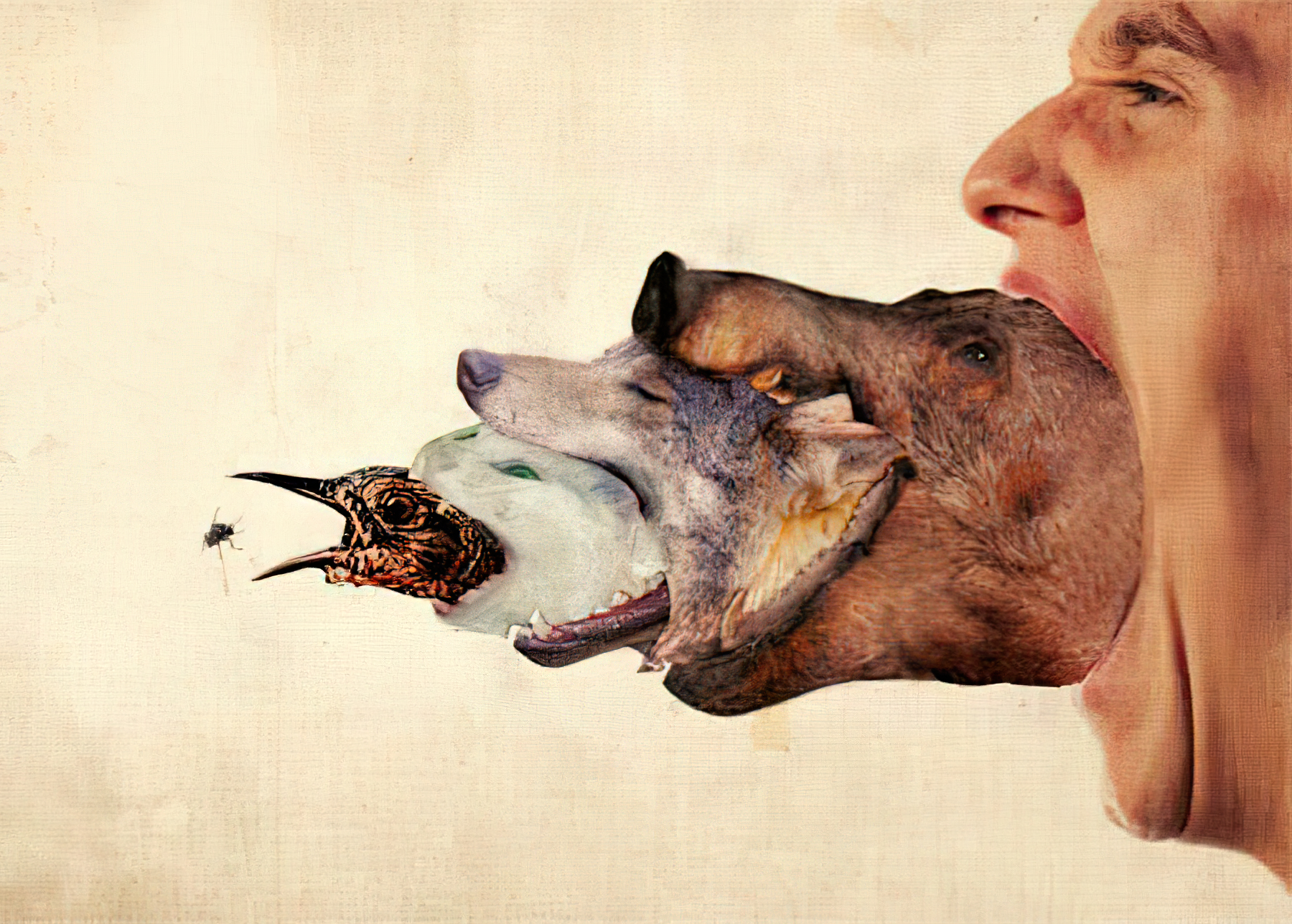 为什么动物可以吃生肉人不行,人为什么不能吃生肉